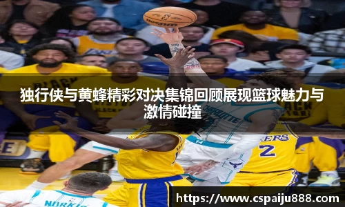 必一运动b-sports官网