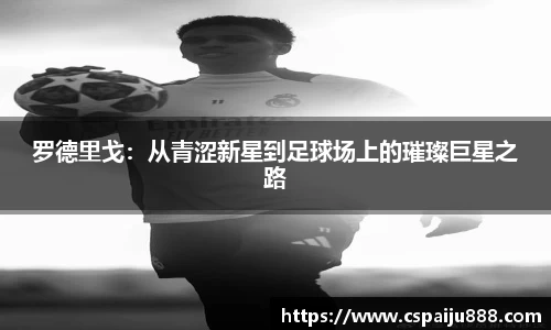 必一运动b-sports平台