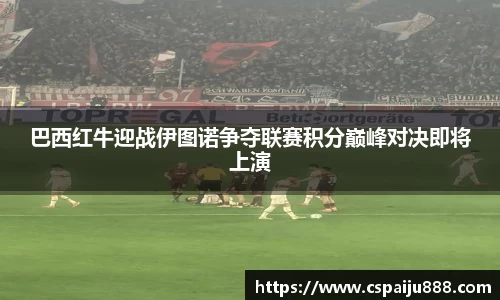 必一运动b-sports官方网站