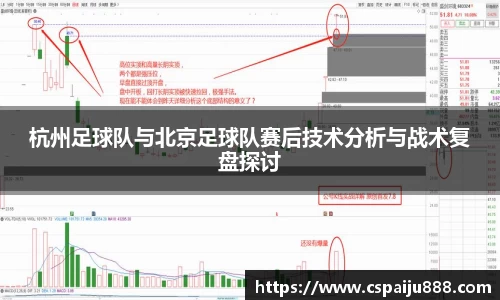必一运动b-sports官网