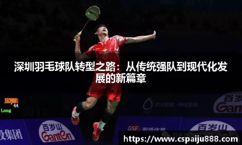 深圳羽毛球队转型之路：从传统强队到现代化发展的新篇章